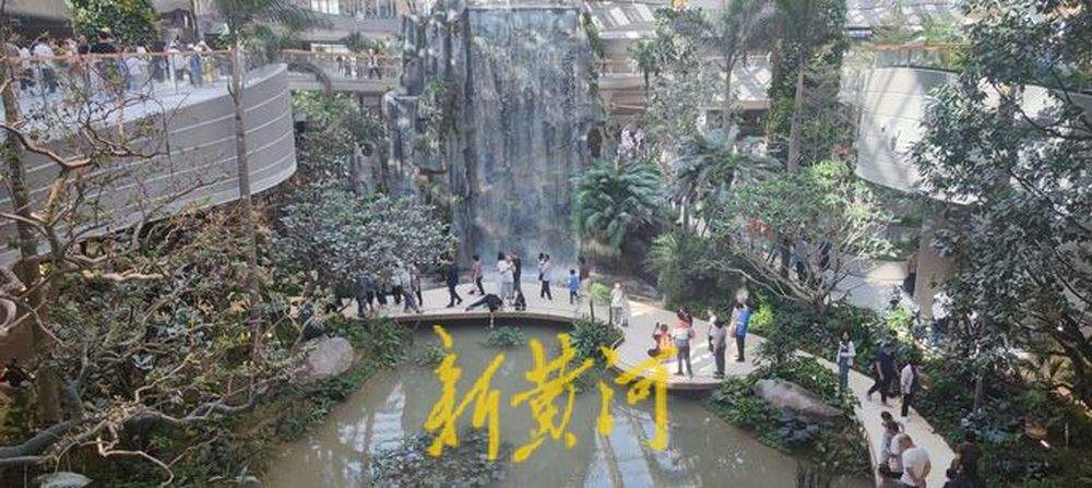 一年四季 泉在济南丨济南起步区鹊山生态文化区7天“圈粉”20万人次