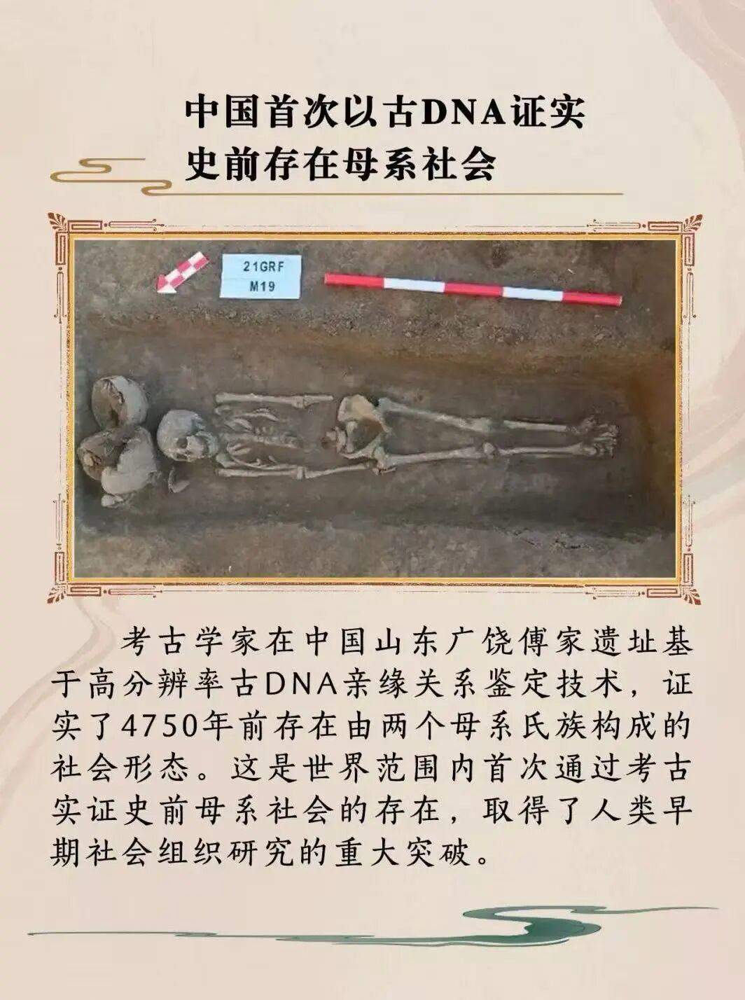 山东2项成果入选2025年度国内、国际十大考古新闻