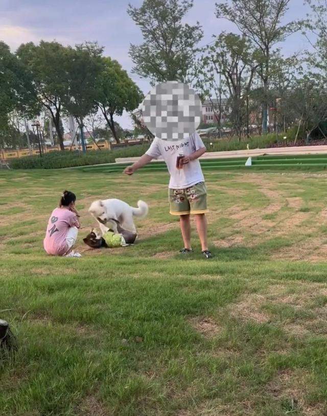 要严惩!男子遛狗不拴绳 家长理论遭怼:咋不把小孩拴起来