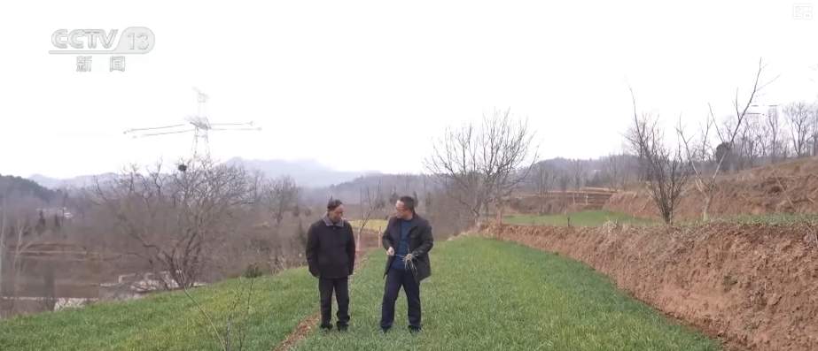 科技赋能农业生产 “良种+托管”夯实粮食丰收基础