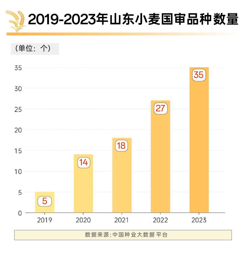 数字打开不一样的齐鲁粮仓
