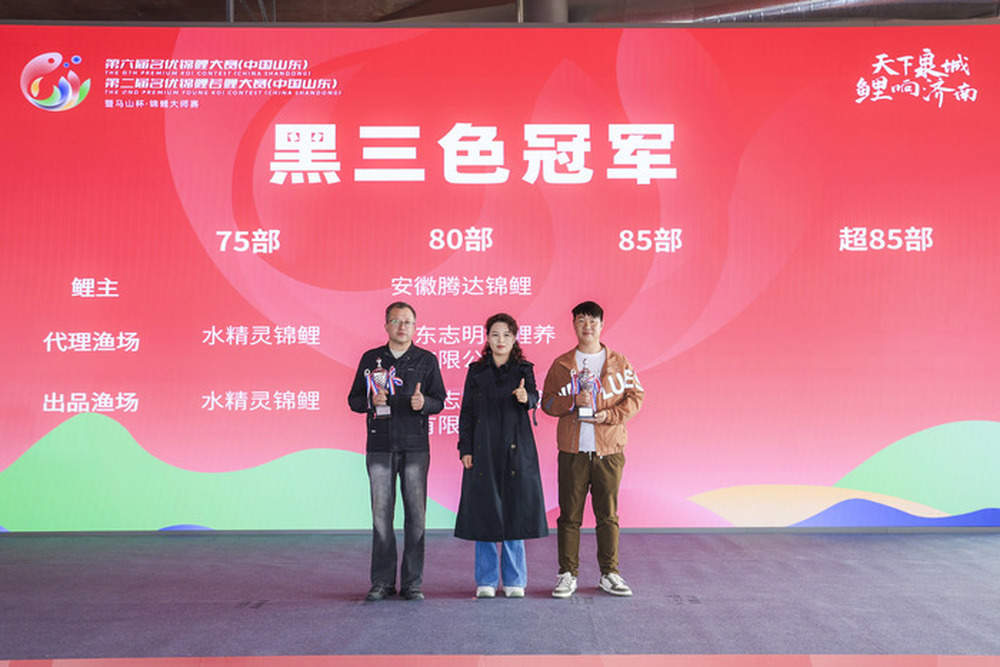 2500尾锦鲤争艳，超2万人次观赛，第六届名优锦鲤大赛落幕