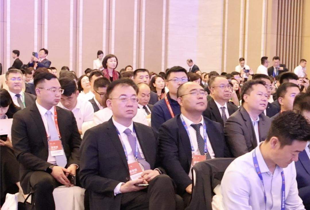 记者手记：鲁港澳携手，续写开放合作新篇章