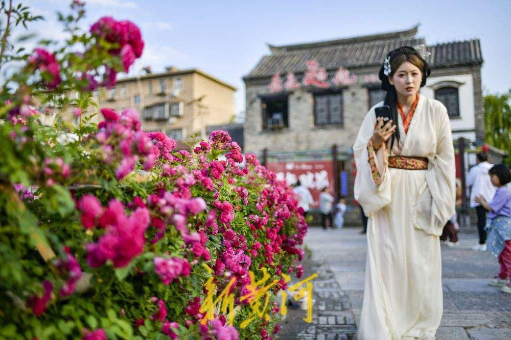 老城区新晋花墙打卡点 解锁初夏古城浪漫