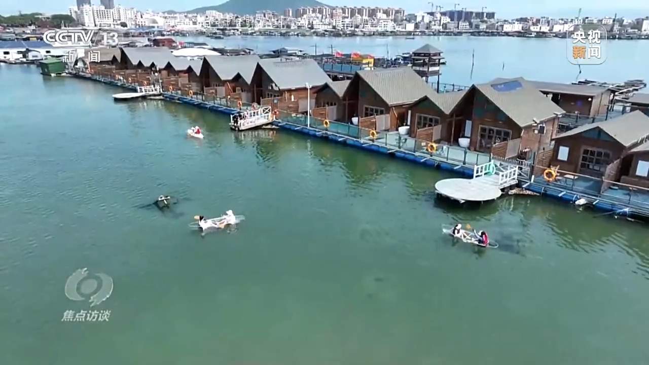 焦点访谈丨保护海洋生态 守好人海和谐的蓝色家园