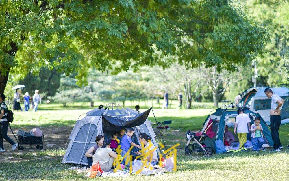 中秋迎来晴好凉爽天，泉城草地重现露营帐篷热