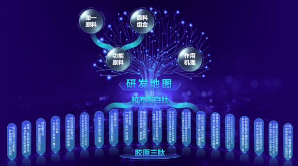 五个女博士以基础研究驱动产品创新，重塑行业科学透明新生态