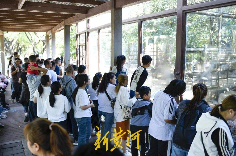 济南动物园成“遛娃胜地”，全家出游乐享亲子时光