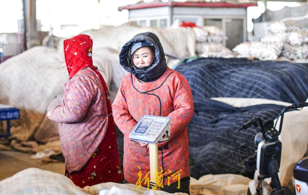 寒潮天气里的农贸市场，露天摊位建起“温室大棚”