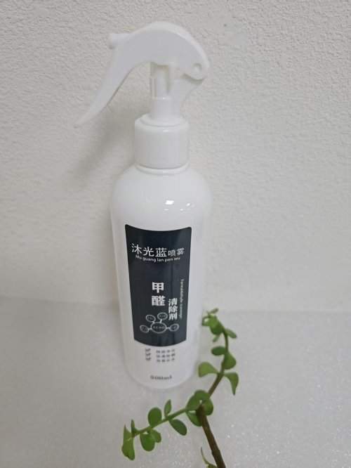 2025年除甲醛产品深度评测：新房如何快速降低甲醛超标并安全入住