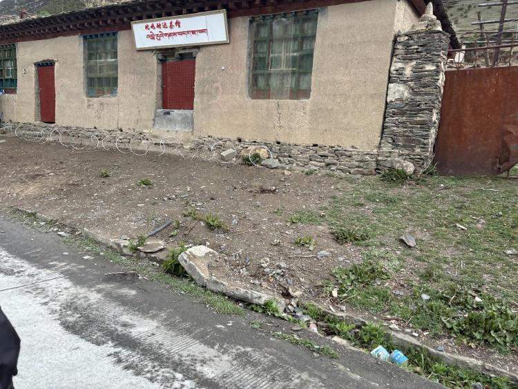 2头黑熊闯入酒店被狗堵在楼道,当地乡政府:一般不伤害人