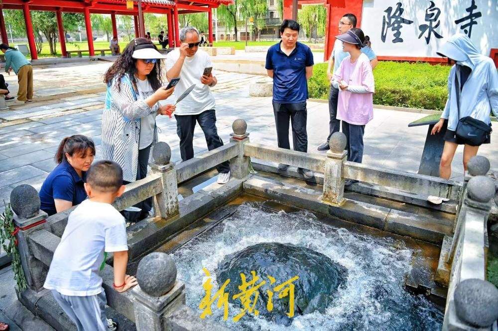 一年四季 泉在济南丨观泉消暑正当时 墨泉喷涌盛景尽显泉城气韵