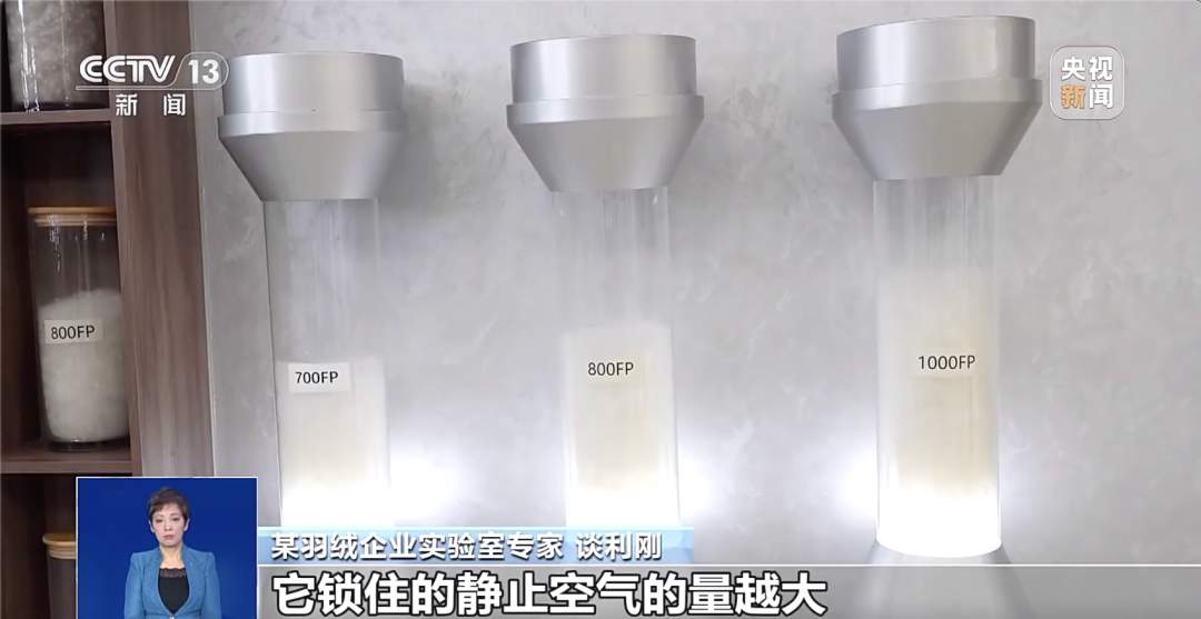 300元到底能不能买一件真羽绒服?