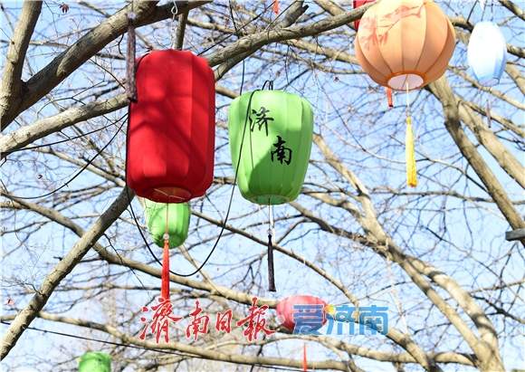 “三景融河·光映泉城”,济南市第45届天下第一泉迎春花灯会蓄势待发