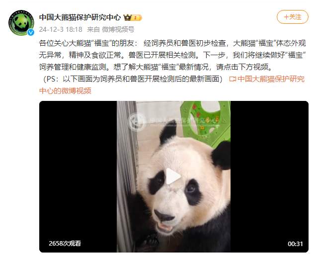 中国大熊猫保护研究中心：经饲养员和兽医初步检查，“福宝”体态外观无异常，精神及食欲正常