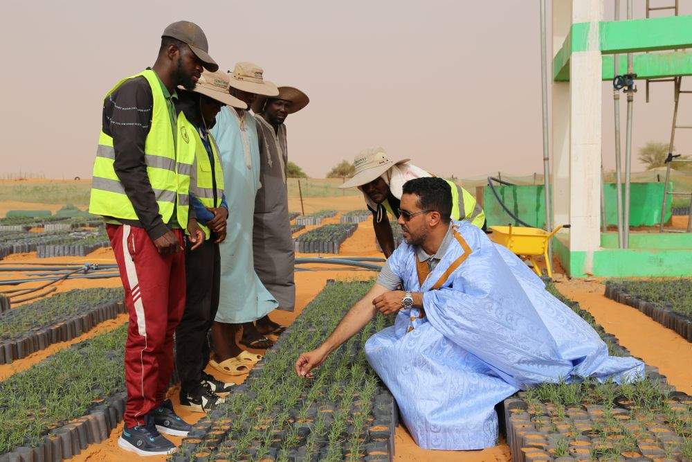 特稿｜同心七十载 聚力新未来——中非携手共逐发展振兴梦