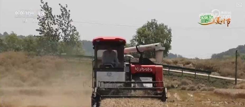 “九成熟，十成收；十成熟，一成丢” 