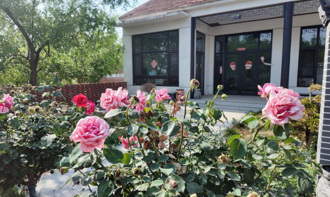 融媒·见证丨红砖老屋煮咖啡，探索振兴新路径——“村咖”带火单家园