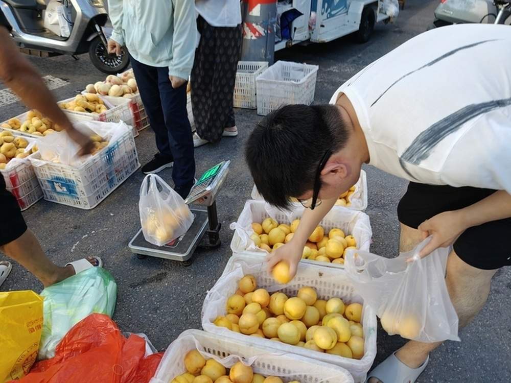 这个桃摊被爱心包围！跨城求医遇泉城善意，济南街头“卖桃救子”迎来转机