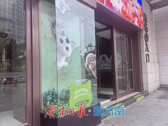 济南再添宠物友好商场，“它经济”催生消费新场景