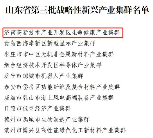 济南一地入选！山东公布第三批战略性新兴产业集群名单