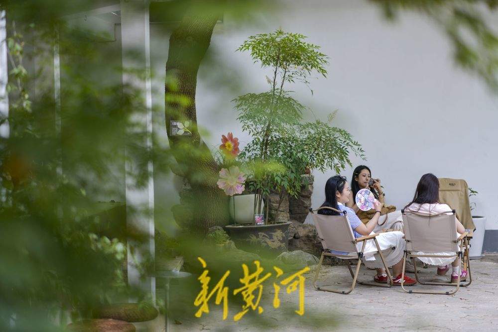 听竹声轻吟，济南百年公园再添新风景