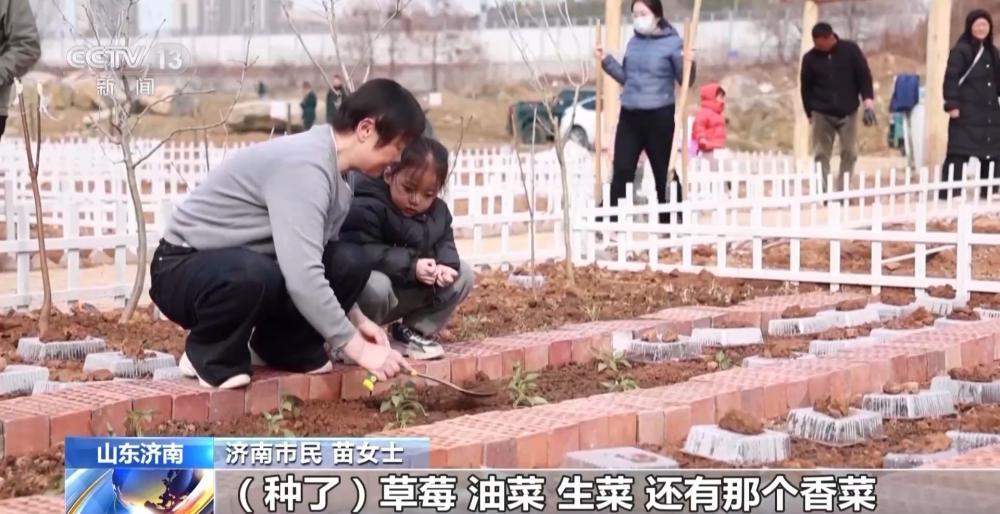 央视：济南“共享菜地”走红 三种模式让市民体验农耕乐