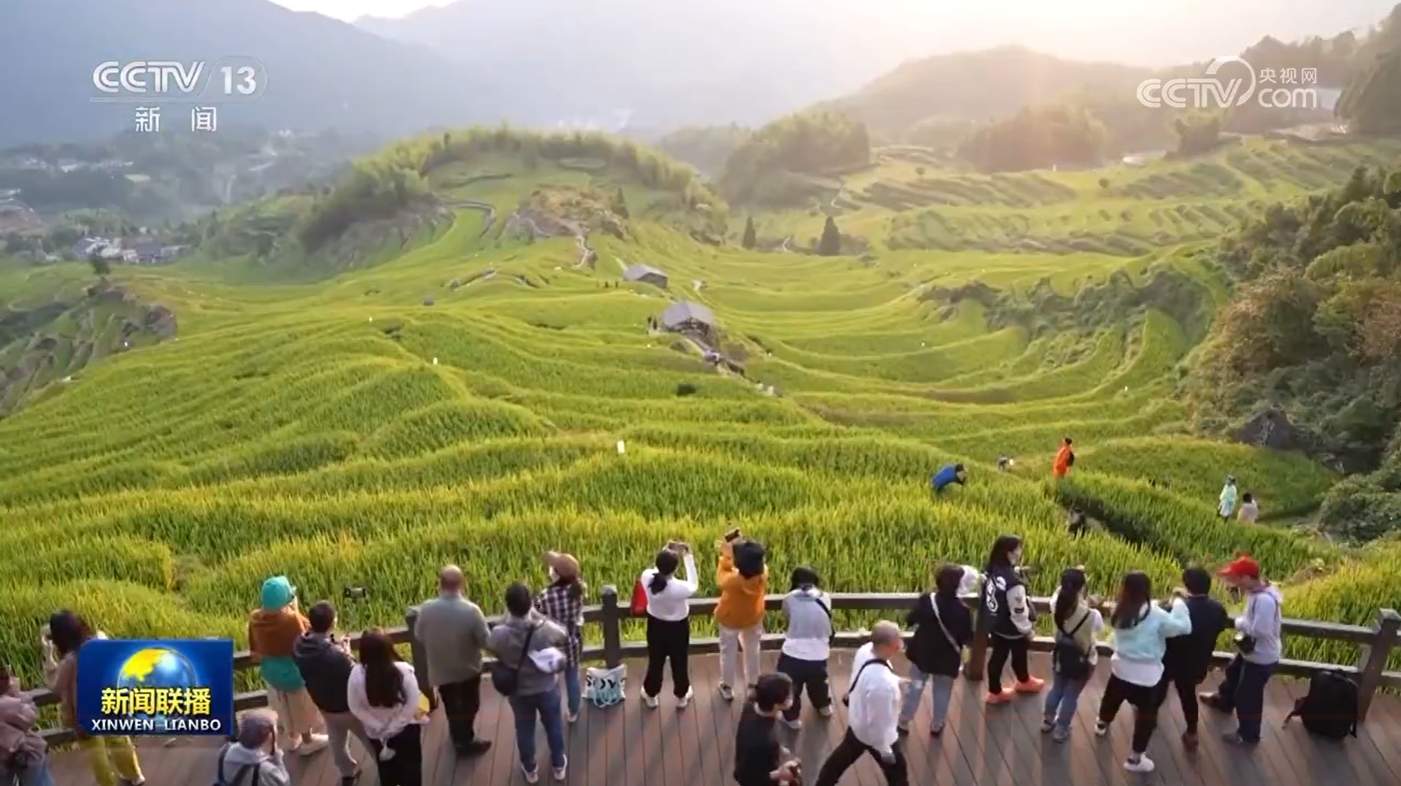 【新思想引领新征程】数字乡村建设助力农业农村现代化