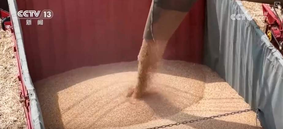 “九成熟，十成收；十成熟，一成丢” 