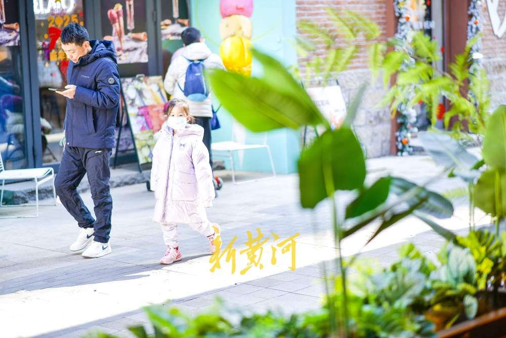 老商埠穿花衣 增添绿意迎春来