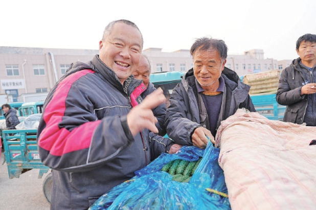 黄瓜晨市开市忙 出村进城销全国