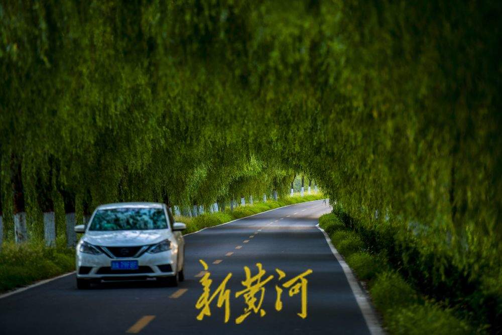 过往货车如剪刀 造就柳荫隧道