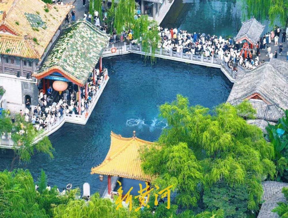 暑期收官遇盛景，趵突腾空醉游人