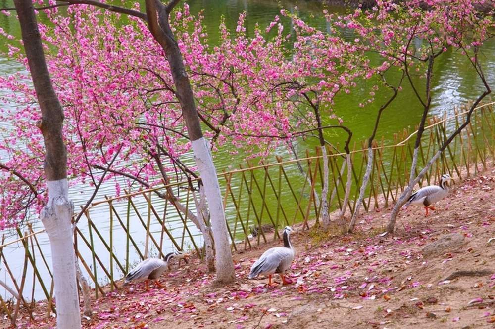 这个假期，家庭游、亲子游成济南游园主力军