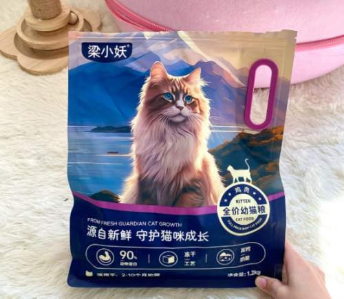 2026年科学选猫粮：不同年龄猫咪的粗蛋白含量标准与选购技巧