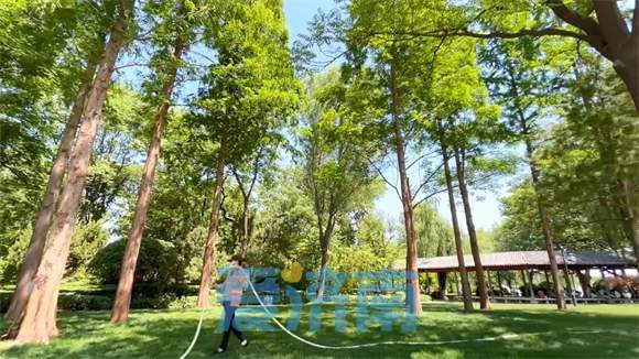 大明湖持续改造新绿道，遐园与文庙同框