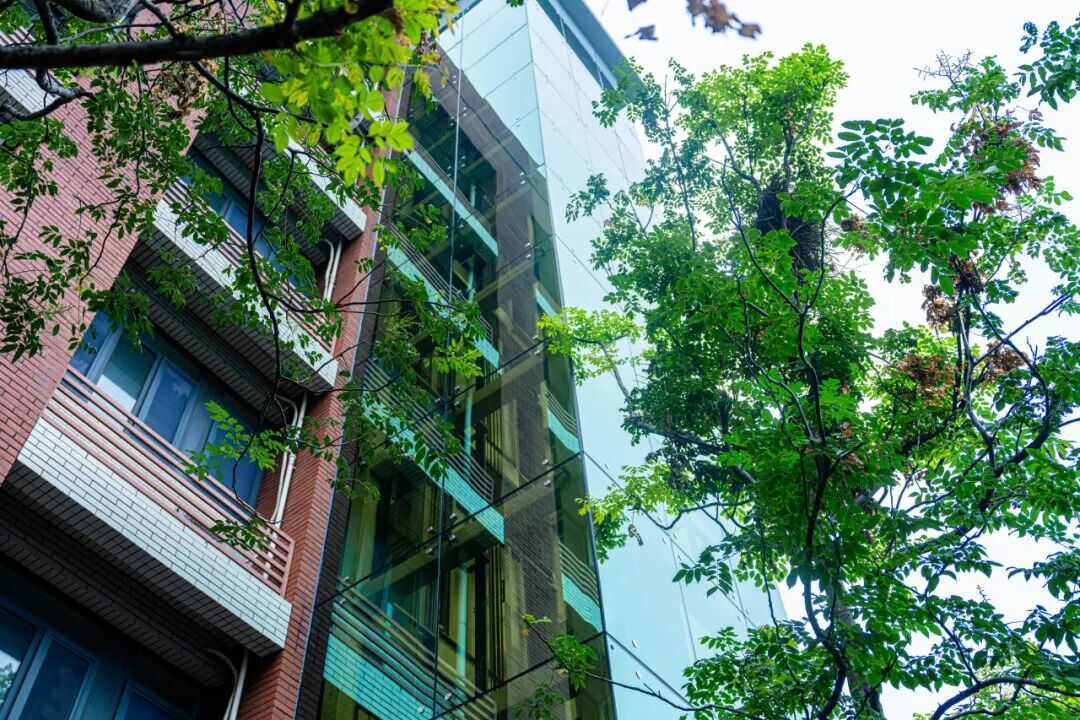 新学期来了！济南多所学校“焕新”啦！