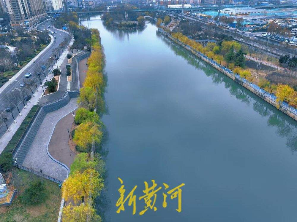 一年四季 泉在济南丨小清河岸畔垂柳披金，冬日韵味渐浓