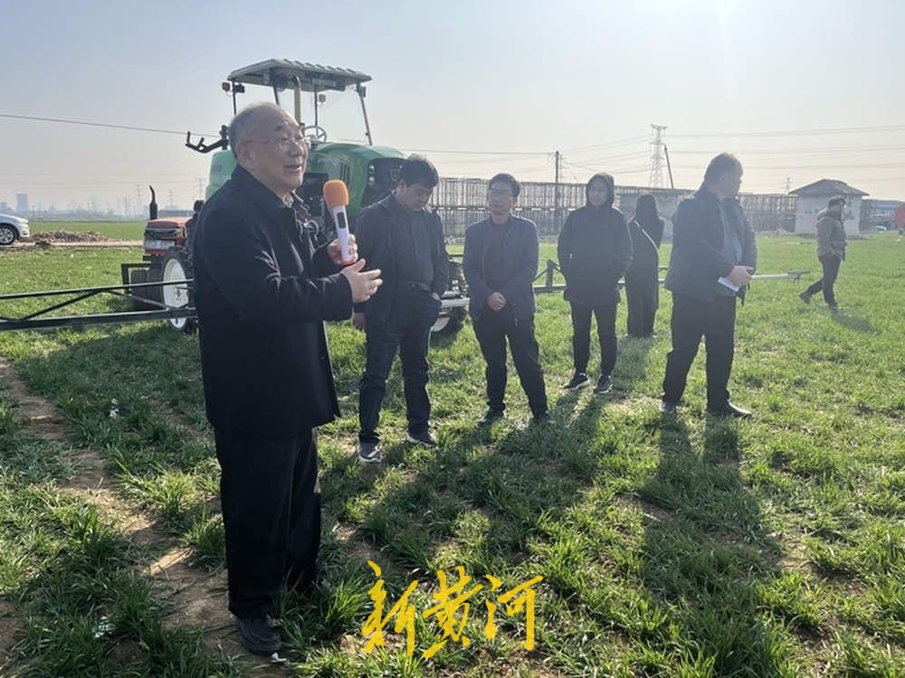 “促、控、防”！农业专家开出春季麦田管理良方