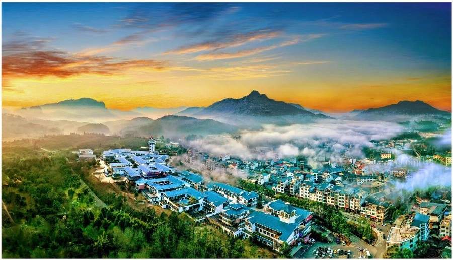 茶香武夷·“星”火燎原|2025武夷山茶足径业态招商推介会火热报名中