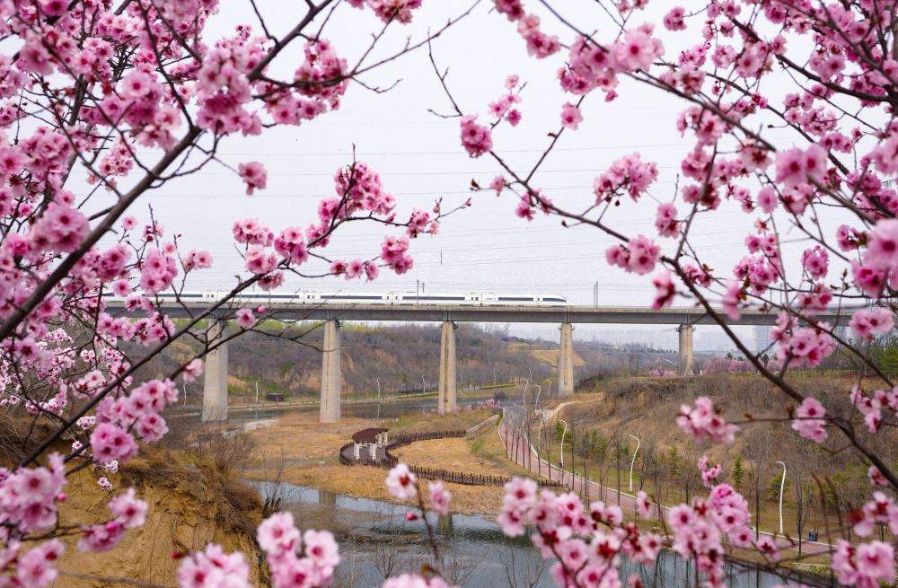 开往春天的列车，下一站：春和景明