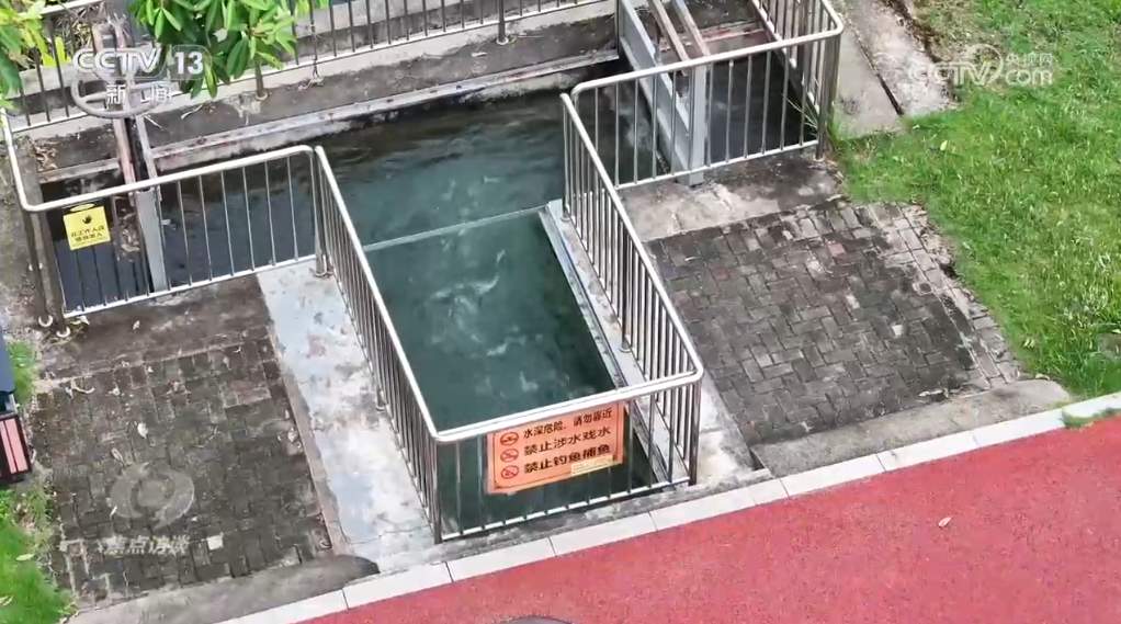 焦点访谈｜书写生态答卷，各地交出亮眼“绿色成绩单”