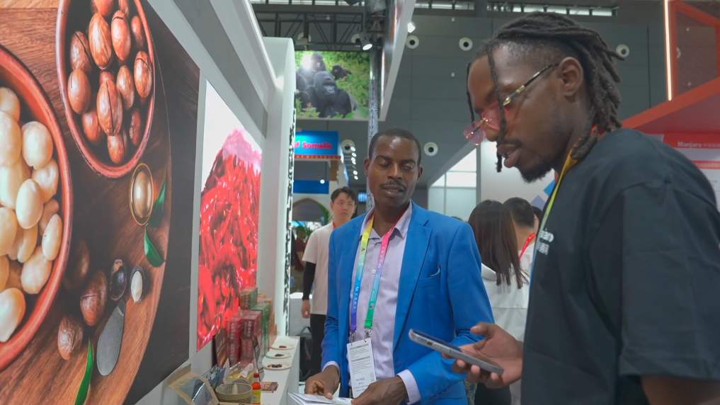 跨越山海 共赴这场中非大联欢