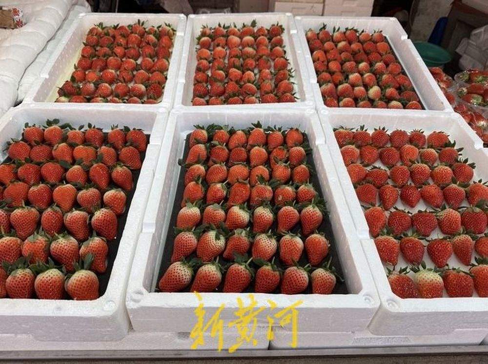 一斤草莓二两盆？盆重超标隐形加价，济南相关部门：已超允许计量偏差范围