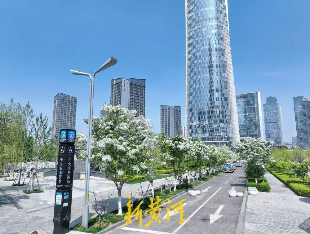 繁花似锦、绿意盎然，济南中央商务区地铁站被“浪漫”包围