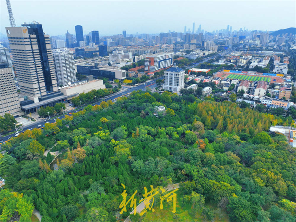 泉城公园进入最佳观赏季，空中俯瞰五彩斑斓处处皆景