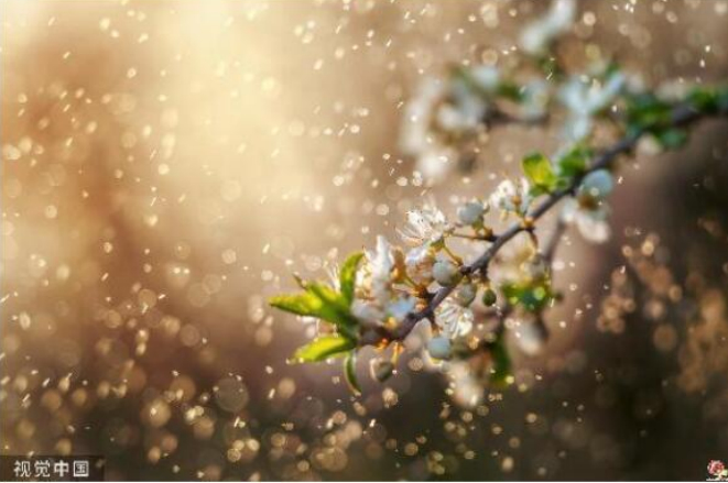 二十四节气 雨水｜春雨至，万物生 愿所有美好如期而至