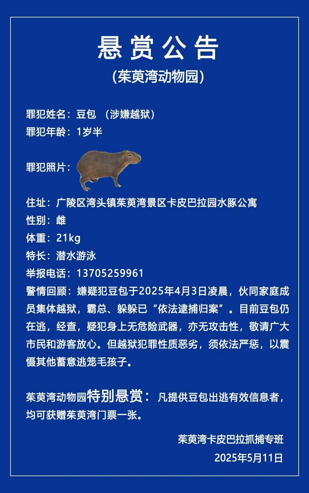 “卡皮巴拉”出逃40天，动物园发悬赏公告