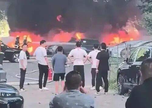 74岁男子点燃杨絮致20辆汽车被烧毁，原因披露