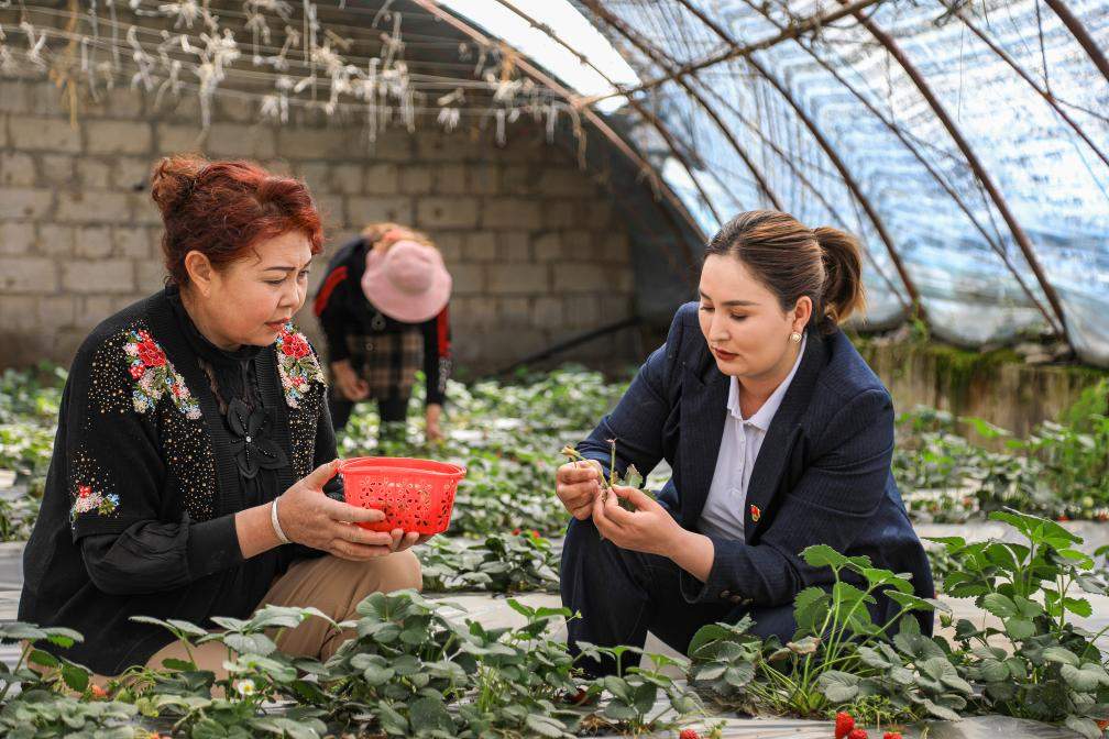 奋斗华章︱实干书写荣光